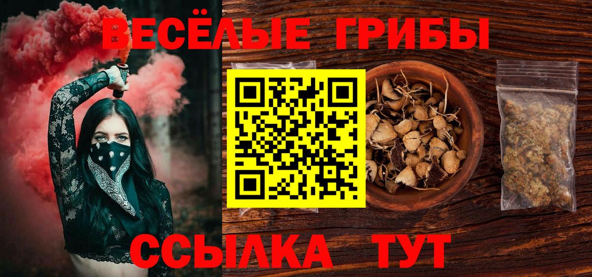 Псилоцибиновые грибы Psilocybe Пятигорск