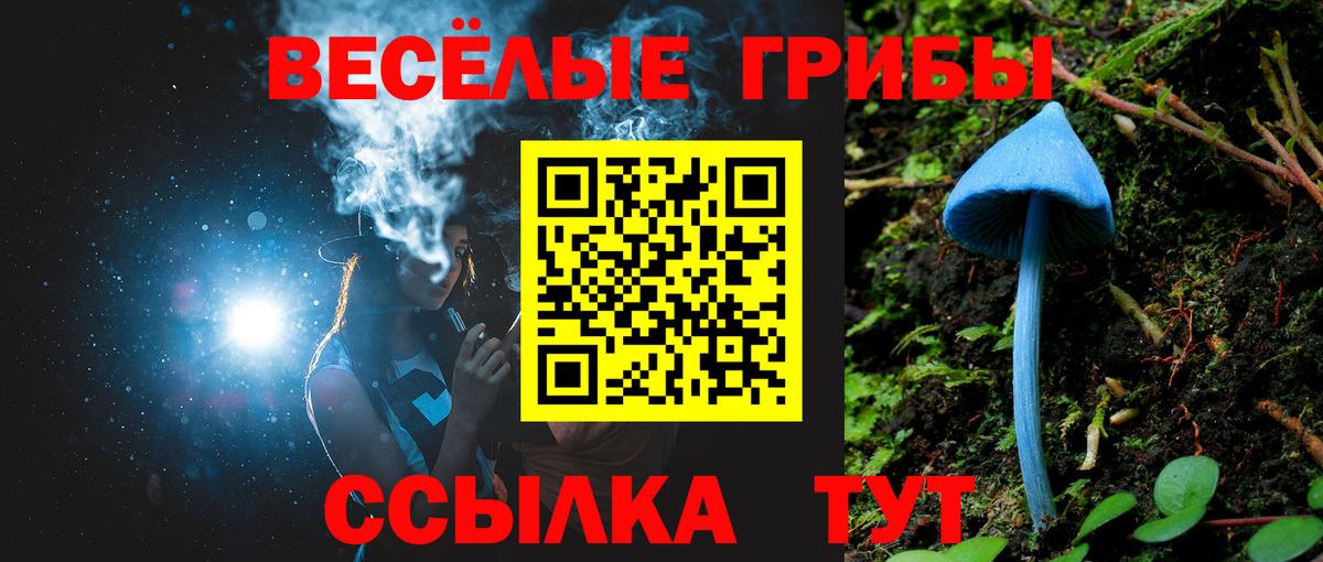 Псилоцибиновые грибы мицелий  Галлюциногенные грибы мухоморы  Вход с VPN  Пятигорск 